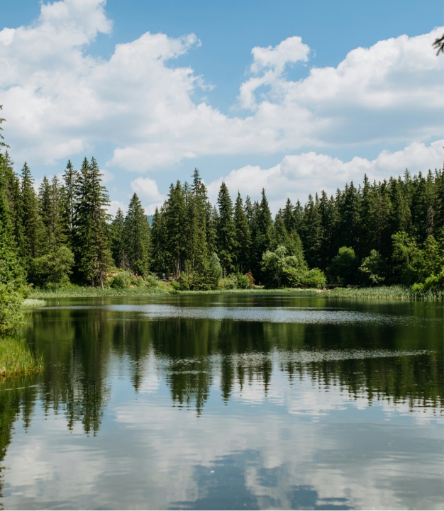 Preservation alt image