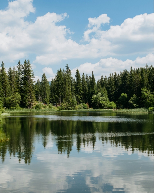 Preservation alt image